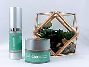 CBD Face Moisturizer | Best CBD Face Cream | CBD Daily Products