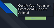 Certify Your Pet as an Emotional Support Animal