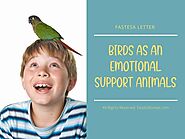 Can a bird be an Emotional Support Animal? - Fast ESA Letter