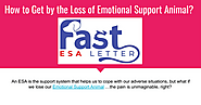 How to Get by the Loss of Emotional Support Animal?