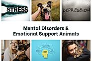 Mental Disorders and Emotional Support Animals - Fast ESA Letter