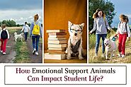 How ESAs can impact student life?