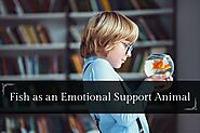 Fish as an Emotional Support Animal - Fast ESA Letter