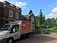 Tree Surgeon Banstead, Tree Surgery - Beechwood Tree & Landscaping Services