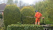 3 Tips By Tree Surgeons For Pre-Spring Tree Care – Beechwood Tree Services