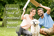 Growing Trend of Emotional Support Animal - Fast ESA Letter