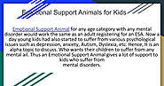 Emotional Support Animals for Kids - Google Slides