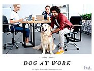 Dog At Work - Fast ESA Letter