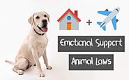 Emotional Support Animal Laws You Should be aware of - Fast ESA Letter