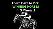 How To Make a Living from Horse Betting!