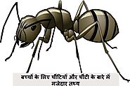 Ant in Hindi - बच्चों के लिए चींटियों और चींटी के बारे में मजेदार तथ्य - Fopeez