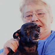 4 Benefits of Therapy Animals for Elders with Dementia - 24|7 Nursing Care