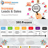 Best SEO Company In Noida