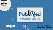 PubMed Conversion Services