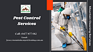 3 Compelling Benefits of Hiring Professional Pest Control Services