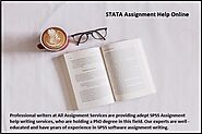 STATA Assignment Help Online by Australian Expert writer
