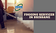 Why Fogging Services in Brisbane Are Becoming Popular Day By Day? by Sam Cameron