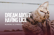 Dream About Having Lice - What Does It Mean To Dream About Lice? Meaning & Symbolism