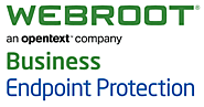 Online Webroot Support with webroot.com/safe