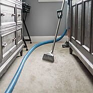 Professional Carpet Steam Cleaner Services