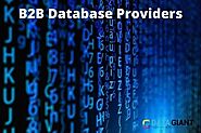 B2B Database Providers UK can be your channel toward success?