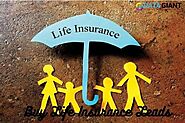 Life Insurance Hotkeys are a magnet to the high revenue