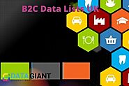 Why B2C Data Providers UK are suggested for Data Relevance?