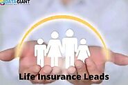 Buy Life Insurance Leads