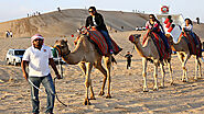 Camel Trekking in Abu Dhabi