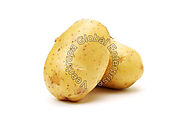 Natural Potato Exporters