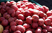 Red Potato Exporters From India