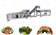 Commercial Salad Processing Line - Top Spring Salad Making Machine