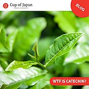 WTF is a Catechin? – cupofjapan