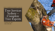 Tree Services Sydney - Complete Tree Experts | Tel: 0451 000 600