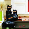 Make black cat o'lanterns