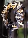 Spider's Web Papers
