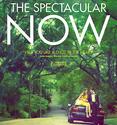 The Spectacular Now (2013)