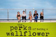The Perks of Being a Wallflower (2012)