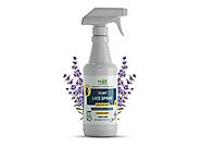 Flint Lice Spray | Natural Lice Treatment | Lice Prevention Spray & Products | Lice Products — MDX Concepts