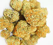 Buy Bulk Weed in Canada