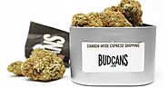 Purchasing Bulk weed in box Canada