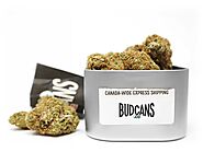Ordering Bulk weed in box Canada