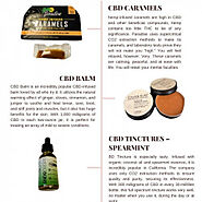 The Best CBD Oils and Tinctures | Visual.ly