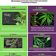 What are Types of Cannabis and What They Do?