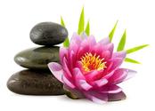 Signature Massage Treatments