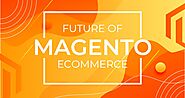 How a Magento Developer can help your eCommerce Brand in 2021?