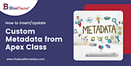 How to Insert/Update Custom Metadata from Apex Class | The Blueflame Labs