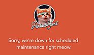 Configure A Downtime Page