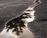 Drinking water is like drinking out of a puddle.