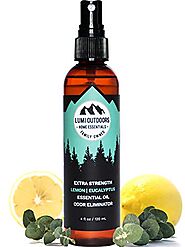 Natural Shoe Deodorizer Spray, Foot Odor Eliminator and Air Freshener - Organic Lemongrass, Mint, Tea Tree Essential ...